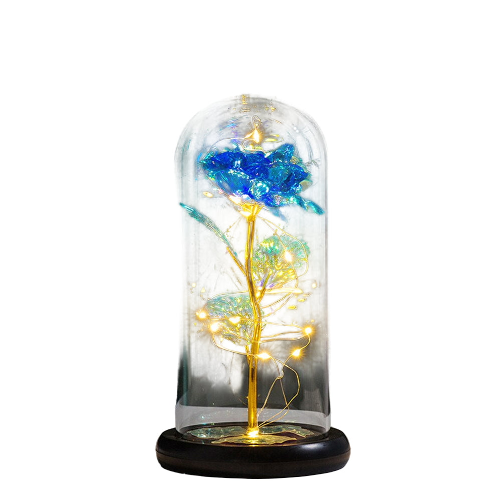 Perpetual Rose Dome Light