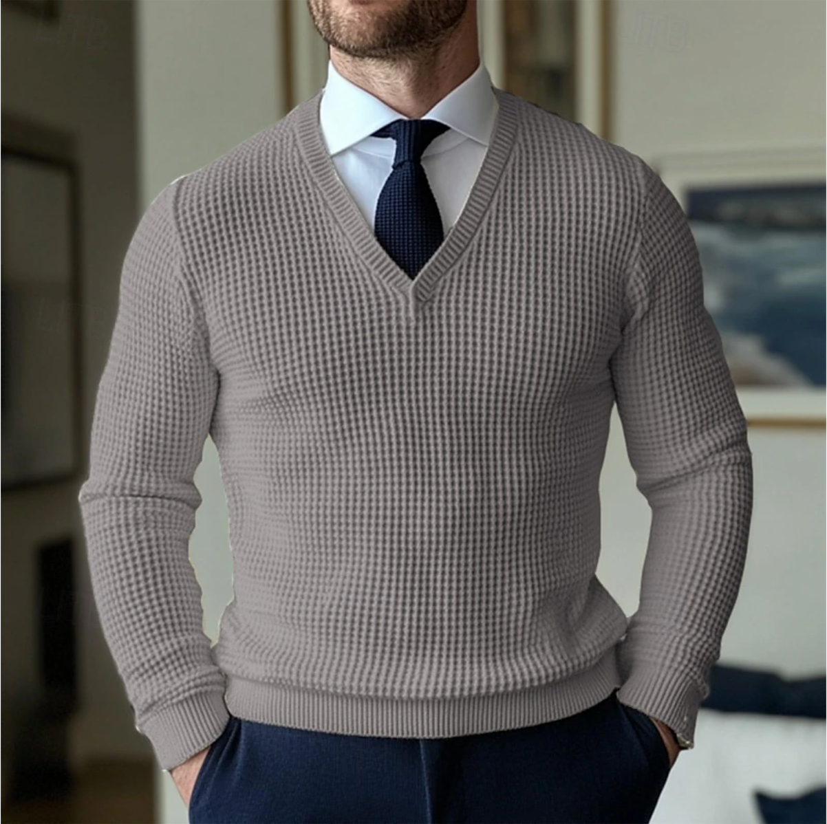 Mænds V-hals Sweater Casual Stil 2