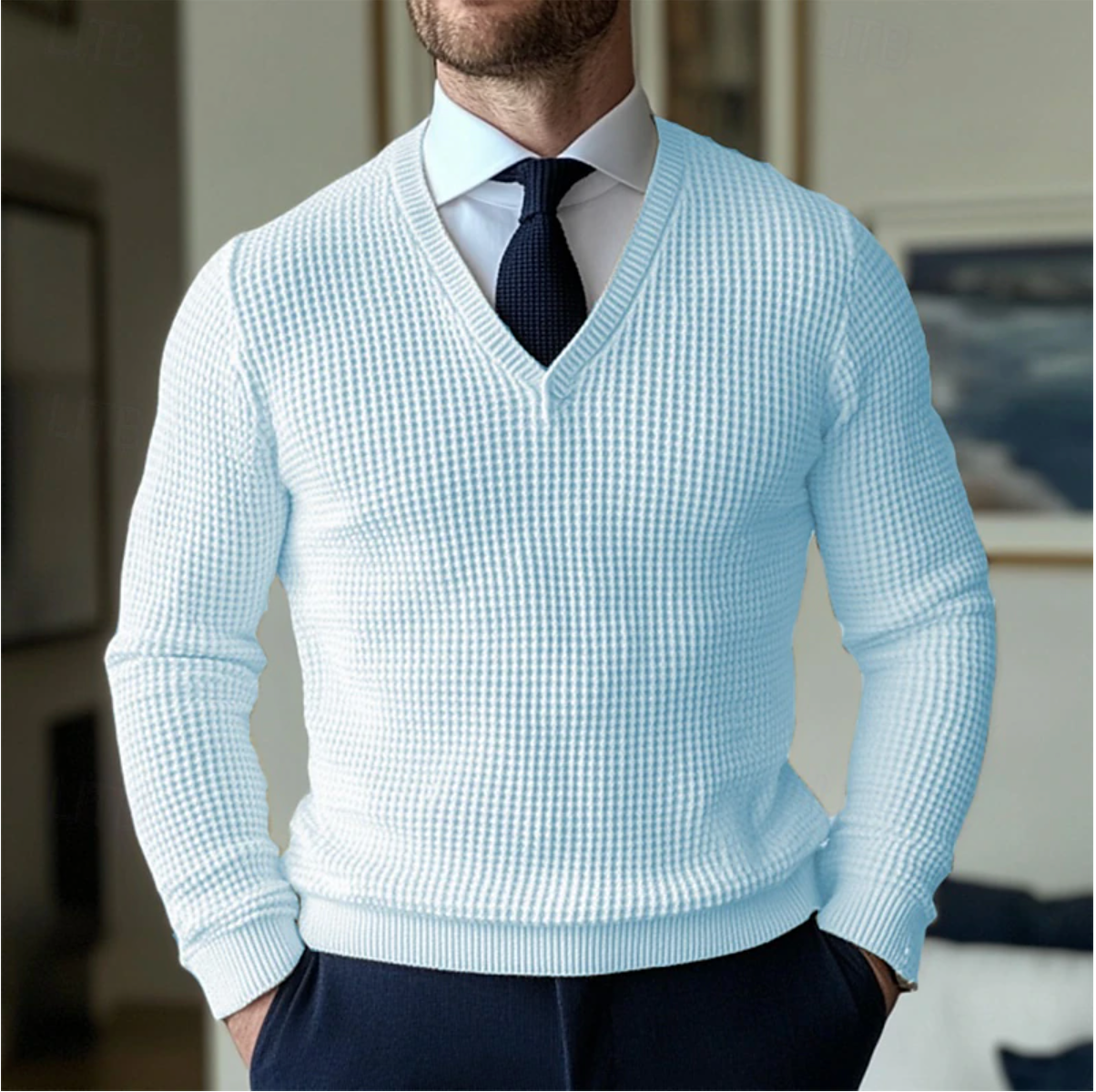 Mænds V-hals Sweater Casual Stil 3