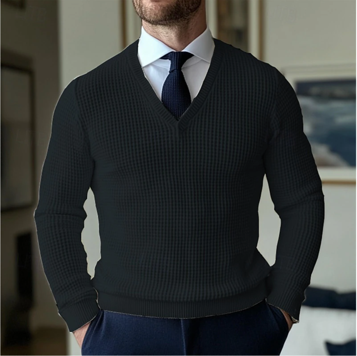 Mænds V-hals Sweater Casual Stil 4