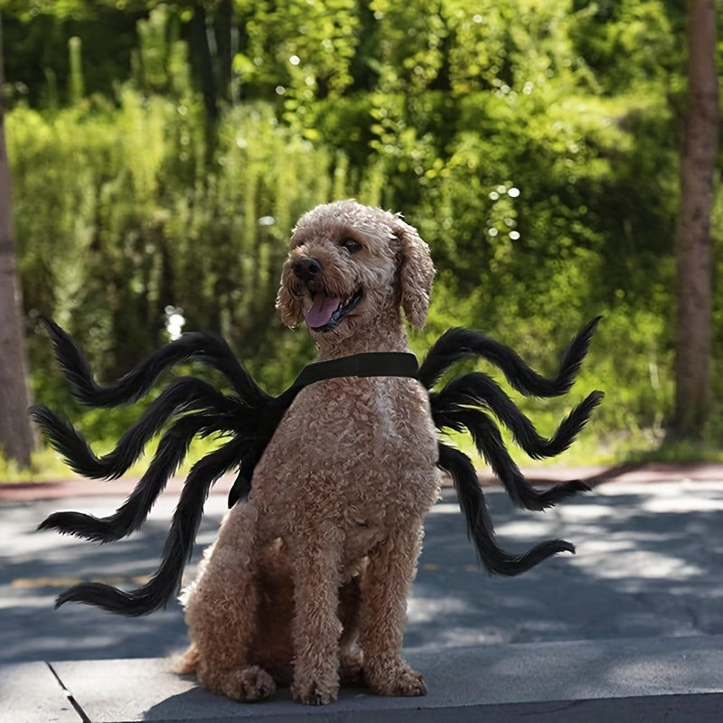 Mellemstore Hundekostume Edderkop Design 1