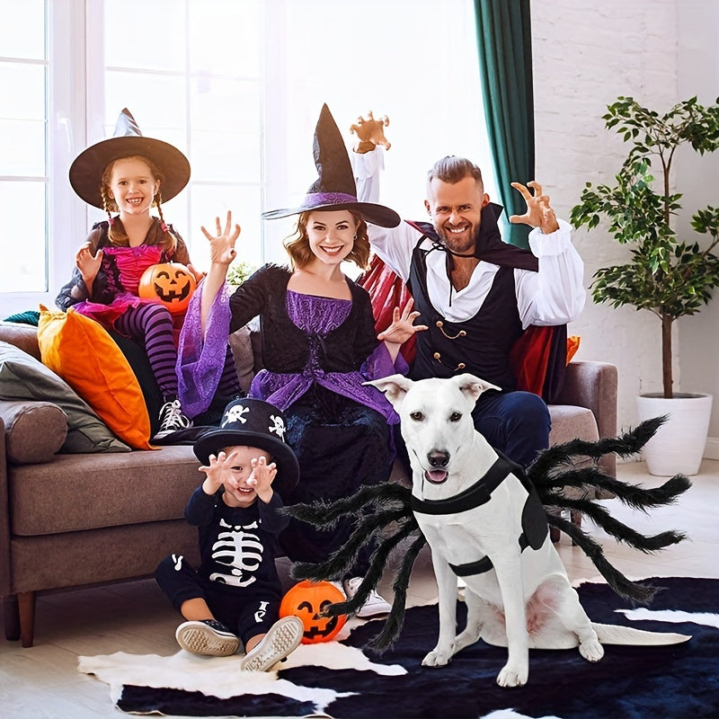 Mellemstore Hundekostume Edderkop Design 3