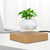 Svævende Luft Bonsai Pot