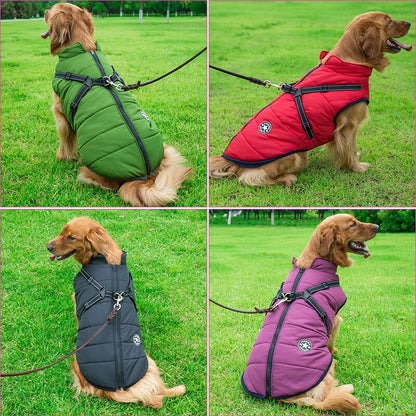 Vinterjakke til Hunde Komfortabel 3